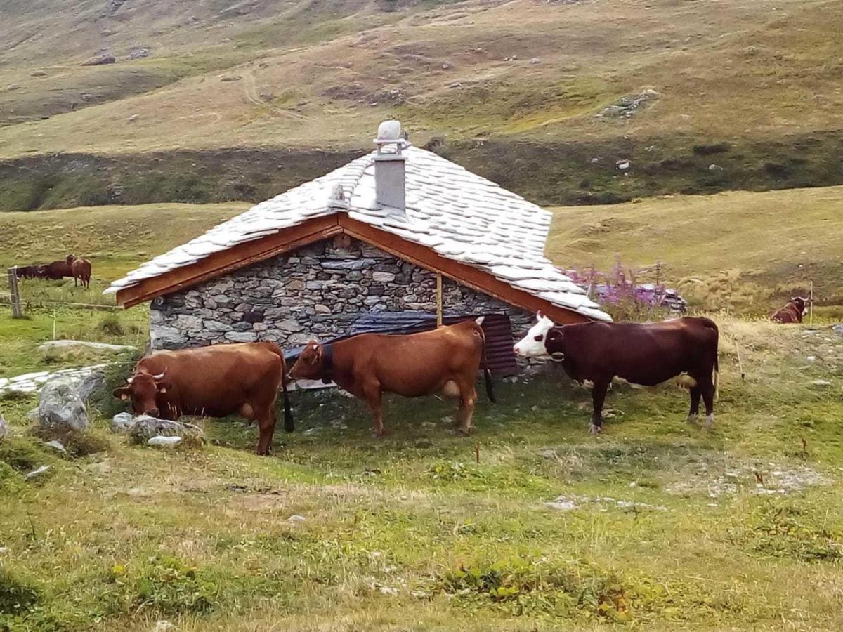 Les Balcons Proche Parc National Vanoise Appartements 2 Pieces 6 Pers Montagne Superieur Termignon Dış mekan fotoğraf