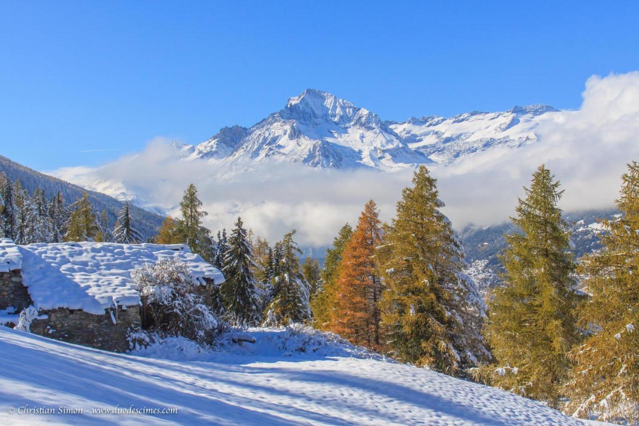 Les Balcons Proche Parc National Vanoise Appartements 2 Pieces 6 Pers Montagne Superieur Termignon Dış mekan fotoğraf